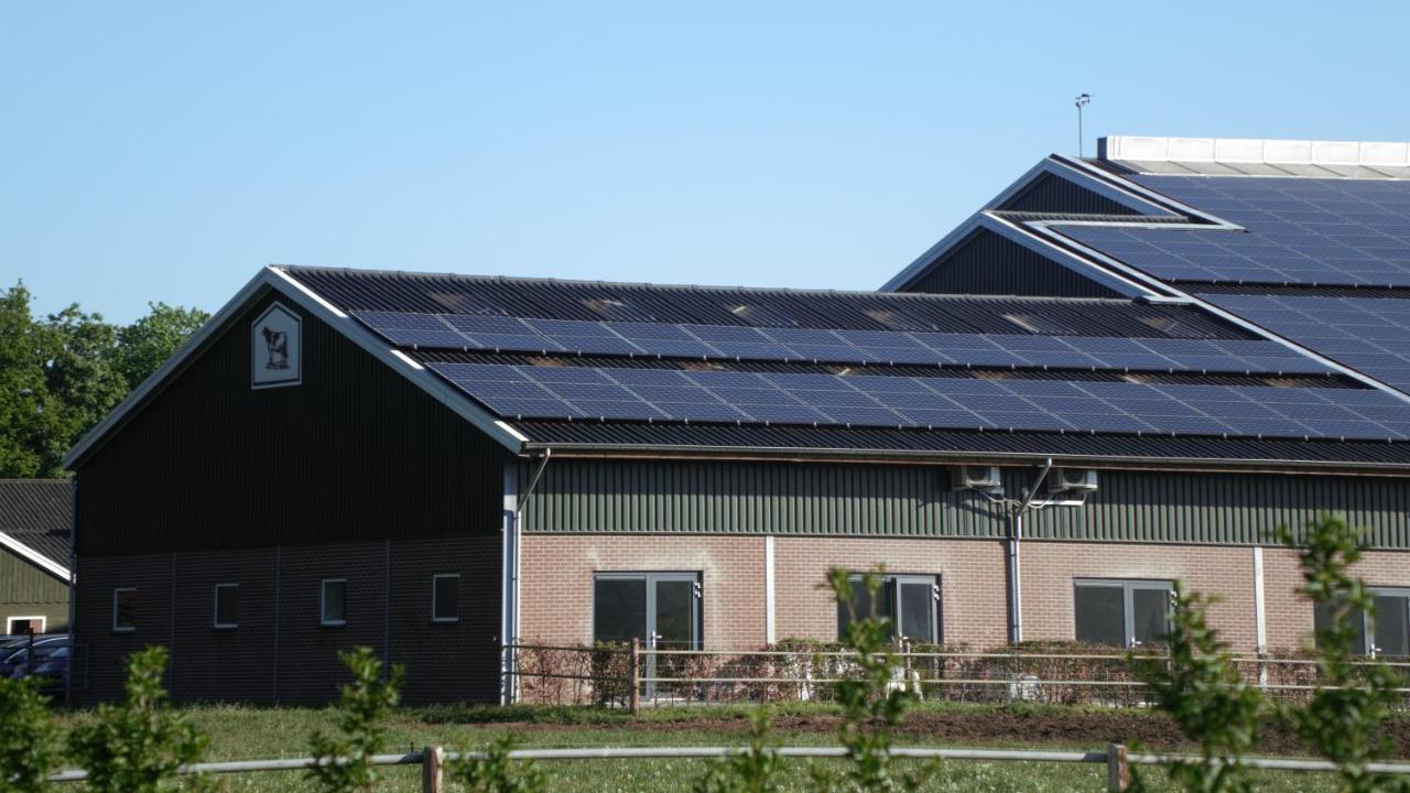 Buiten In Bladel Extérieur photo