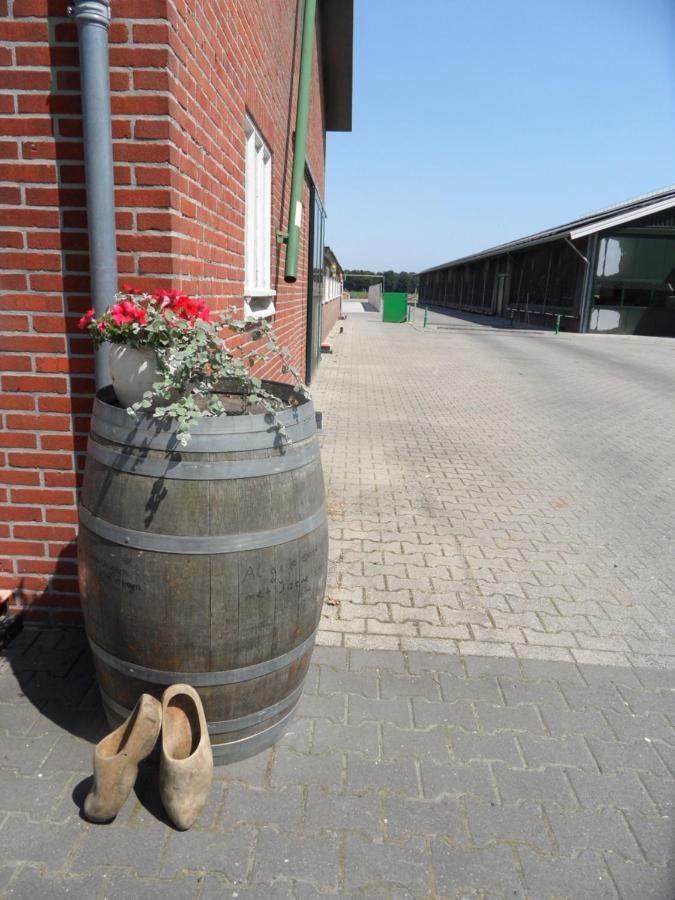 Buiten In Bladel Extérieur photo